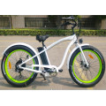 2020 Hot Selling 48V 500W Fat Tyre Rear Drive Electric Bike E-Bike Electric Bicycle